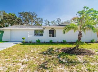 8924 Candlewick Ln, Port Richey, FL 34668