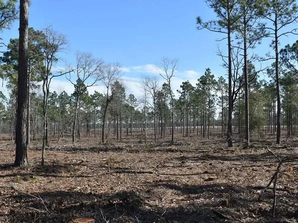 0 State Park Rd, Windsor, SC 29856