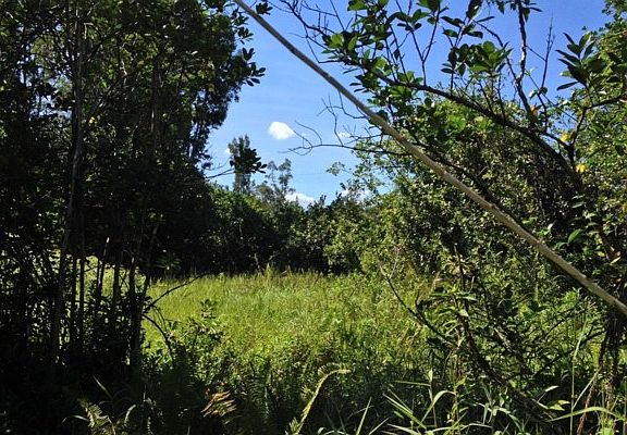 4th image of Road 7 Opeapea Lot 4530