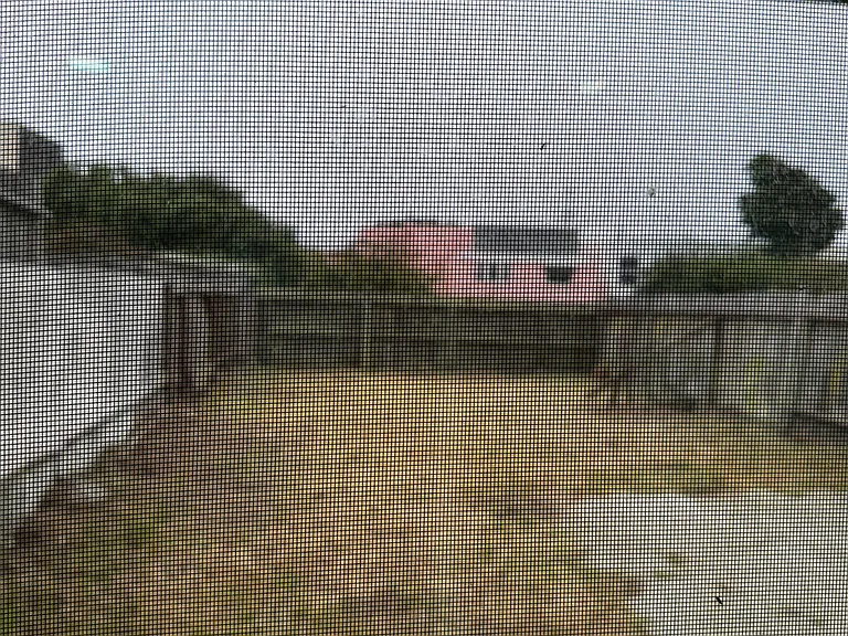 237 Lobos St — Photo 16