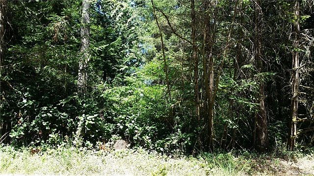 1st image of 11418 Leschi Cir