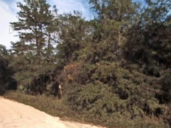 212 Oklahoma Ave, Satsuma, FL 32189