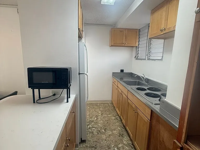 225 Liliuokalani Ave #2A — Photo 3