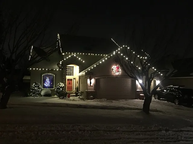 Dressed up for the holidays in the snow!