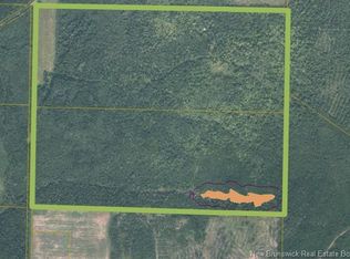 Walker Rd S, Denmark, NB E7H5E4
