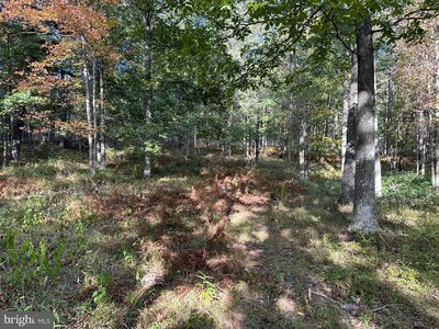 6000 Rolling Stone Rd, Frenchville, PA, 16836