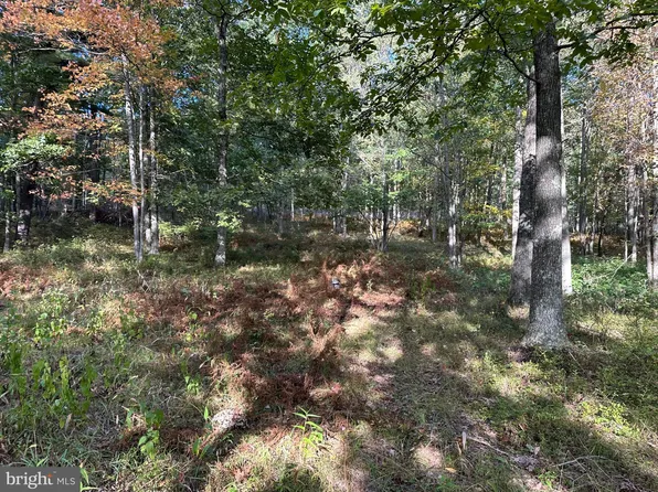 6000 Rolling Stone Rd, Frenchville, PA 16836