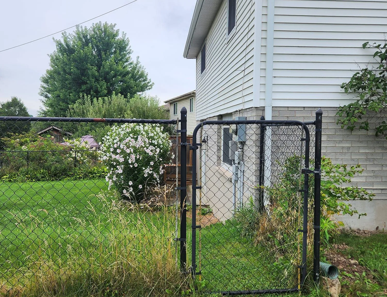2 bed, $1,800 — Photo 4