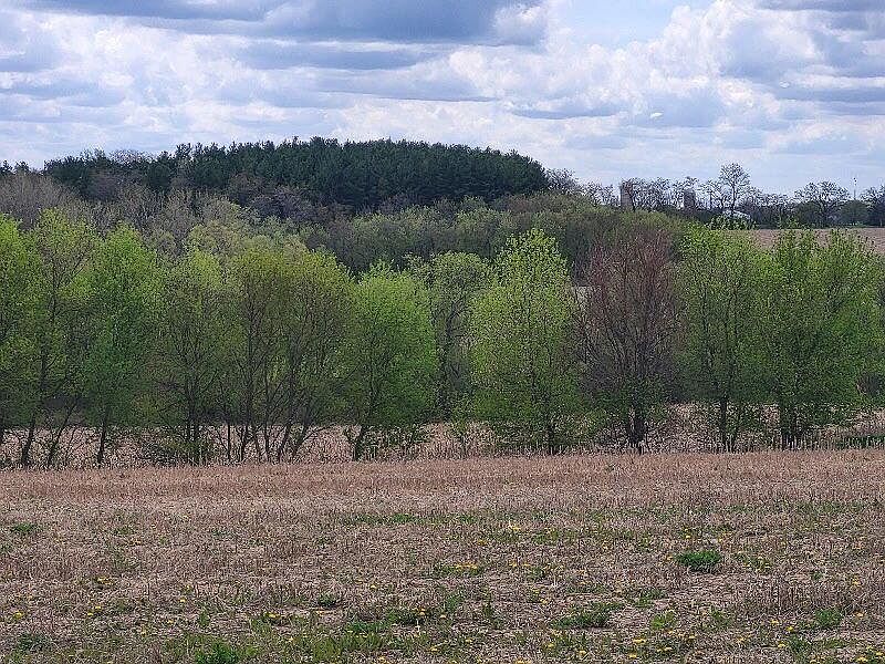 1st image of Lot 5 SWOBODA ROAD