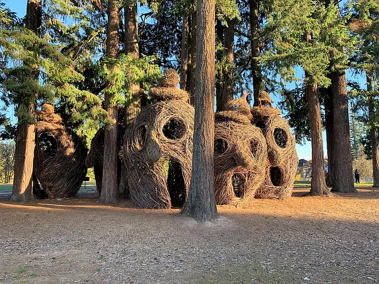 Beautiful Orenco nature park, 2 minutes walk from the house