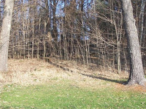 2nd image of LOT 3 White Pine Way Ave Lot 3