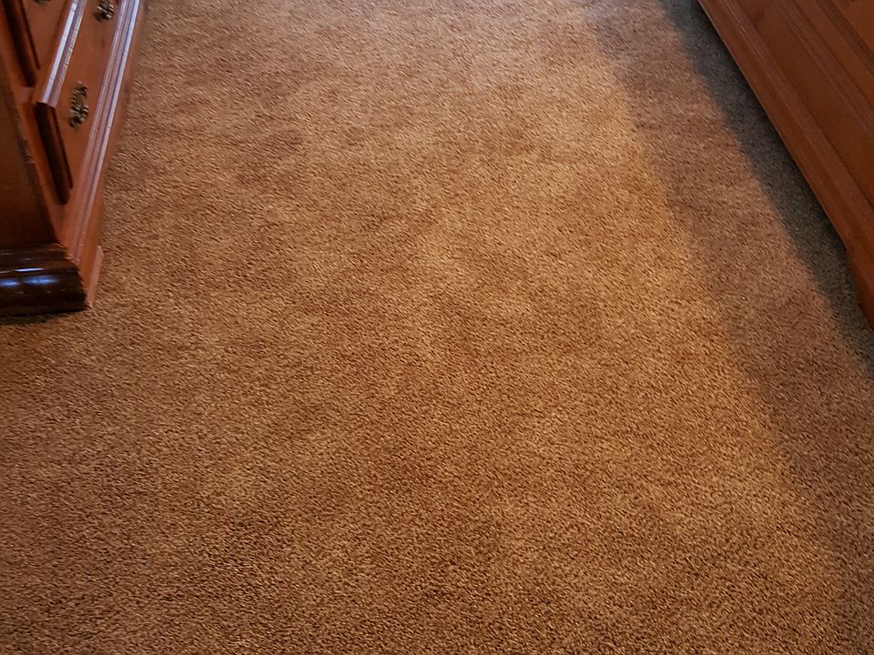 New Stainmaster carpet