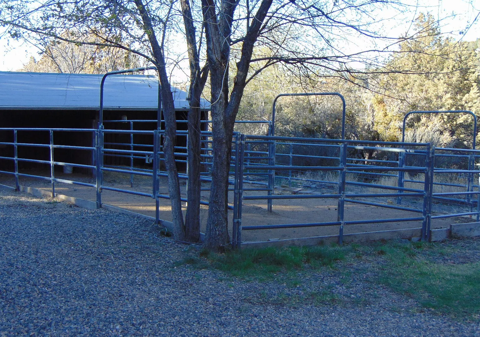 BC1341-497 Robinson Dr - 1 — Photo 4