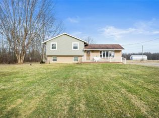 3486 Jones Rd, Diamond, OH 44412
