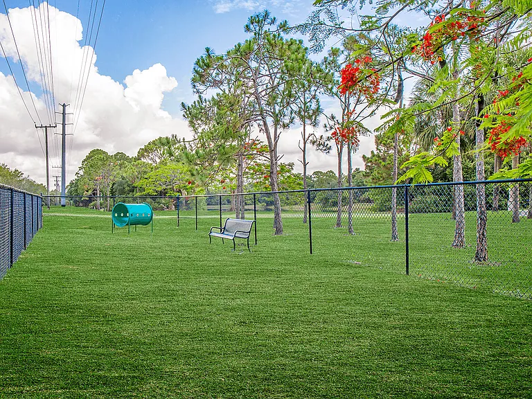 Dog Park