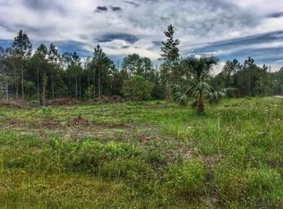 5639 Cypress Ave, Bunnell, FL 32110