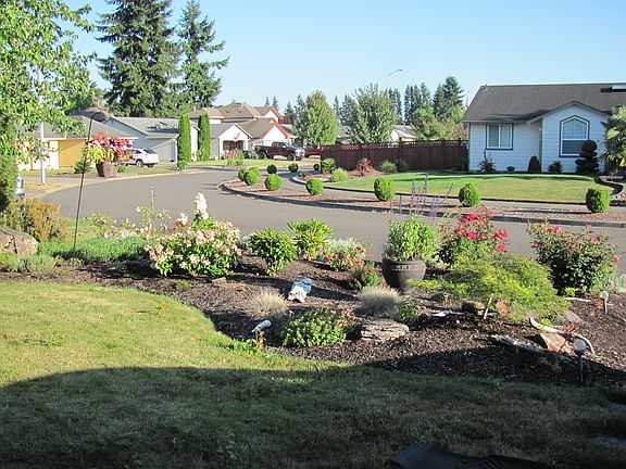 Front Garden from house