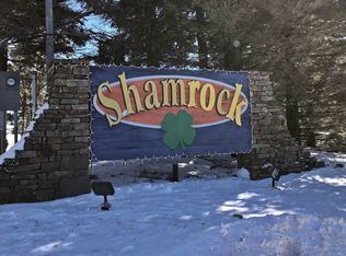 142 Shamrock Cir #27A, Snowshoe, WV 26209