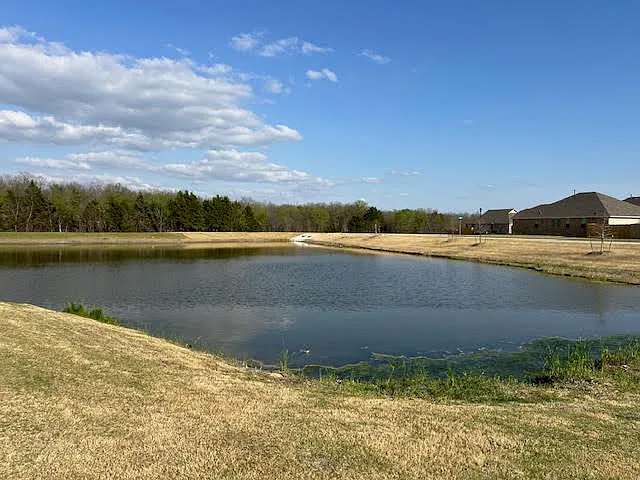 1117 Loblolly Ln — Photo 3