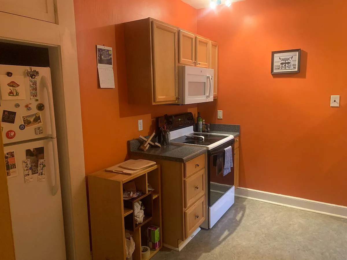 1 bed, 600 sqft, $1,450 — Photo 2