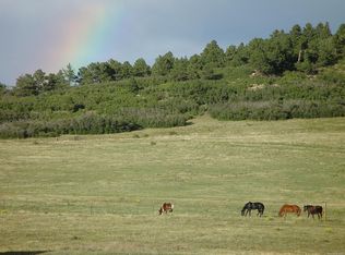 2277 Twylby Rd, Larkspur, CO 80118