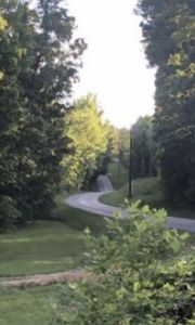 111 Topsy Rd, Hohenwald, TN, 38462