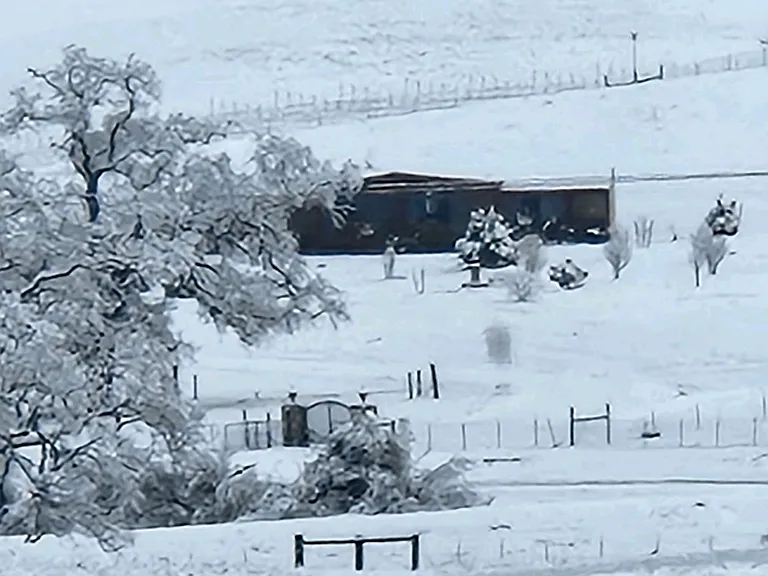 Calf Canyon Hwy — Photo 18