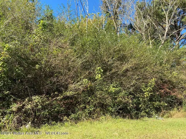 2803 Sweeney Hollow Rd, Birmingham, AL 35215