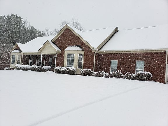 Snow covered beauty