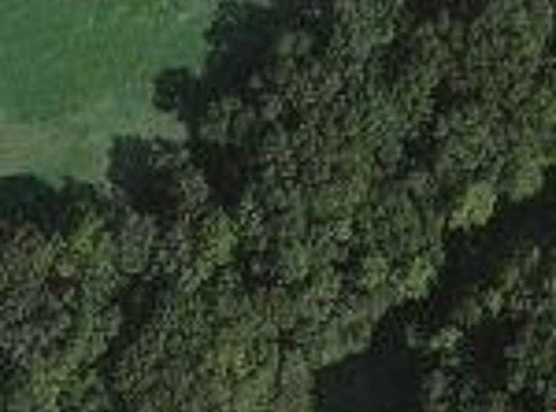 1st image of Lynton Ln