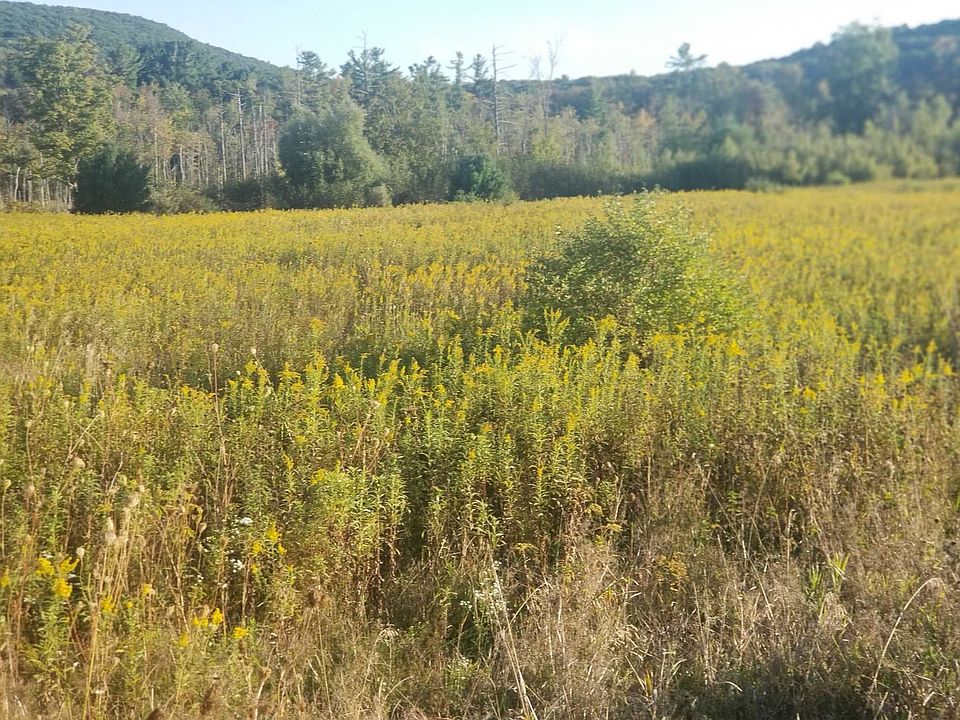 2nd image of Route 44