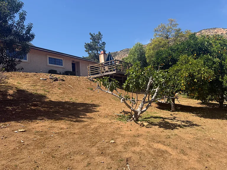 262 Editha Dr — Photo 19