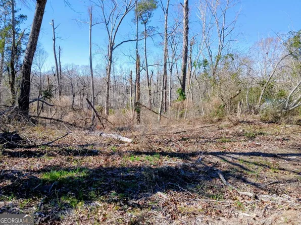 0 Dead River Rd, Uvalda, GA 30473