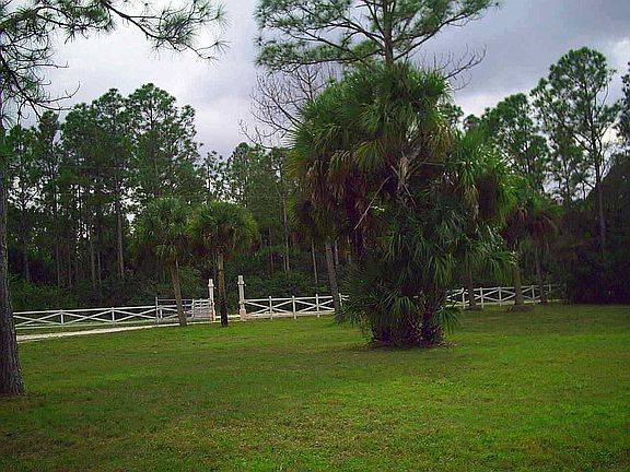 Front Yard Looking South