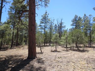 2047 Lone Mountain Rd, Overgaard, AZ 85933