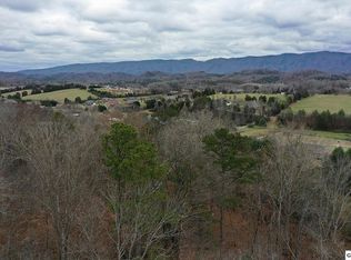 78 Mint Rd, Maryville, TN 37803