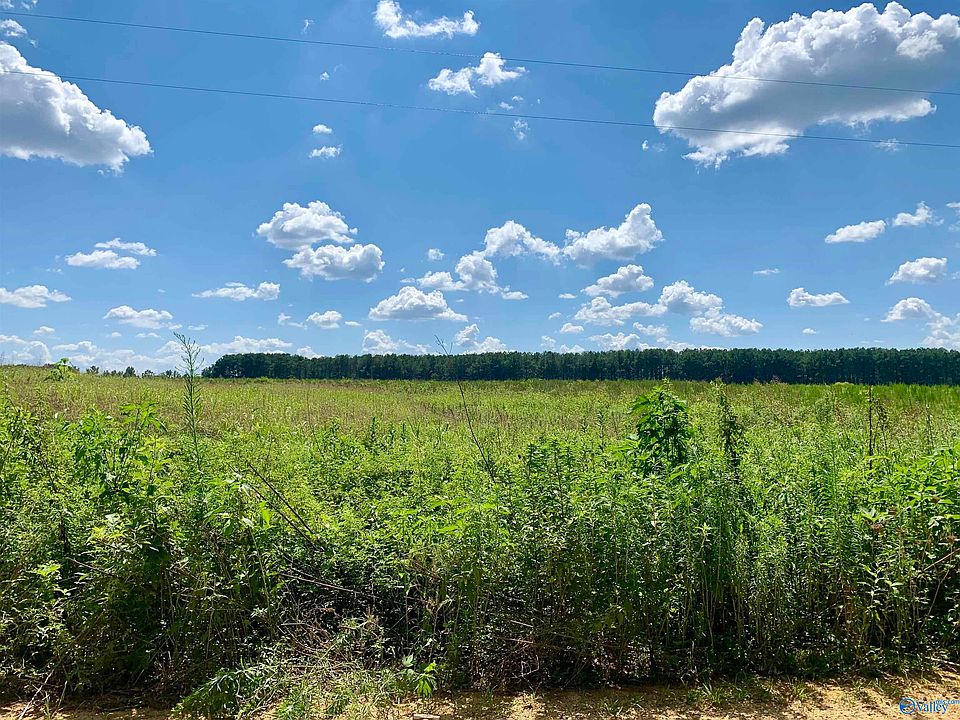 2nd image of 4 County Road 508