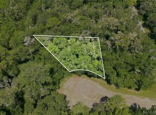9870 N Sky Point, Citrus Springs, FL 34434