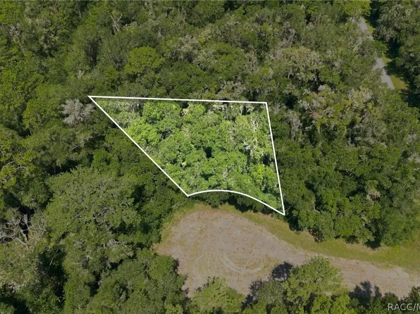 9870 N Sky Point, Citrus Springs, FL 34434