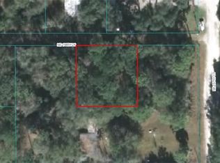 13710 NE 158th Ln, Fort Mc Coy, FL 32134