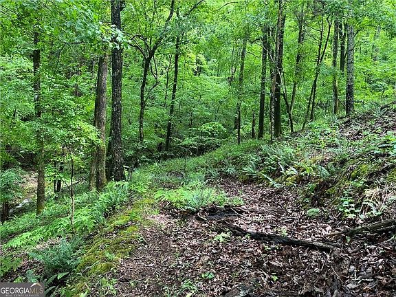 4th image of 1720 Rebekah Ridge Rd