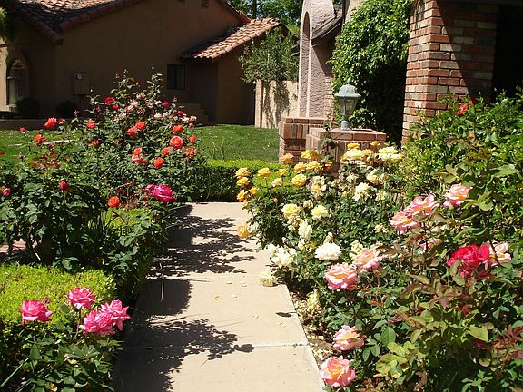 Sidewalk to Entry