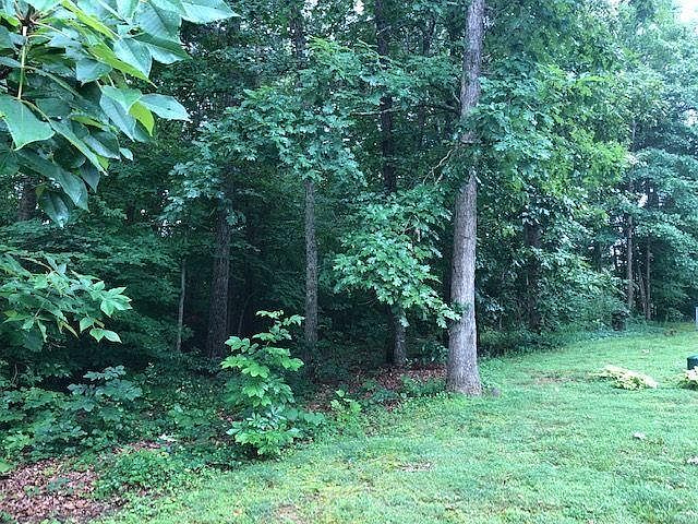 1st image of 117 Oligi Ln Lot 4