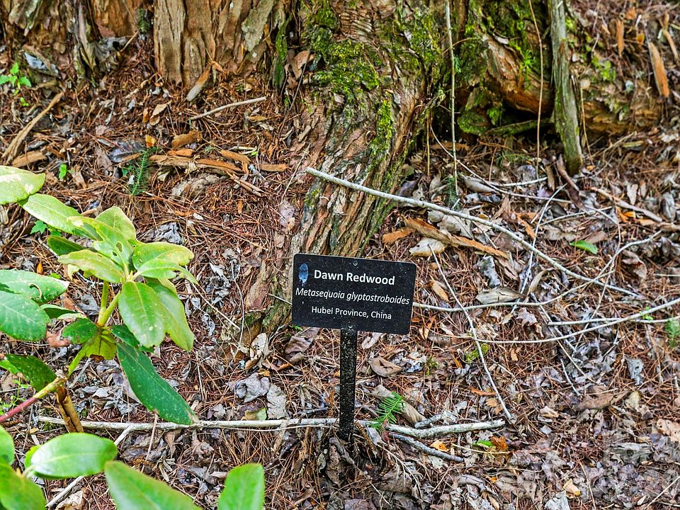 43rd image of this home