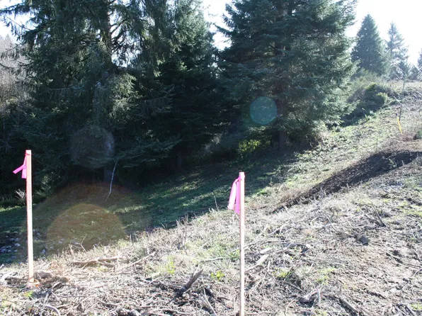 LOT 113 NE Voyage Way, Lincoln City, OR 97367