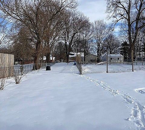 View from back yard