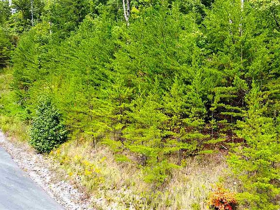 2nd image of Jones Creek Ln