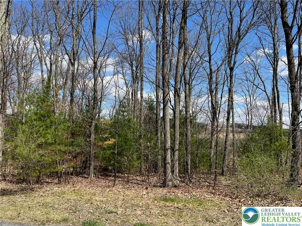 LOT 14 Eagles View Dr, New Ringgold, PA 17960