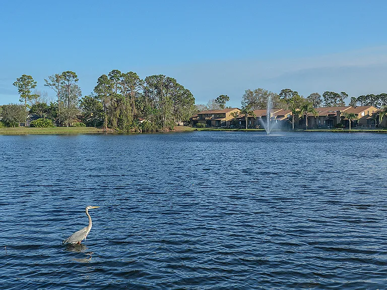 Plenty of Sites to See while Walking Around the Lake