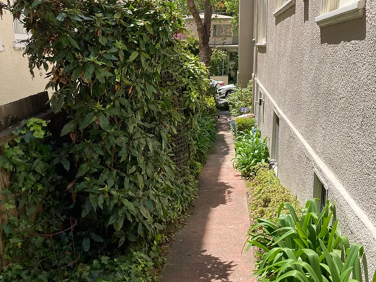 1685 Euclid Ave #2 — Photo 22
